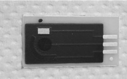 biosensor-organoleptico